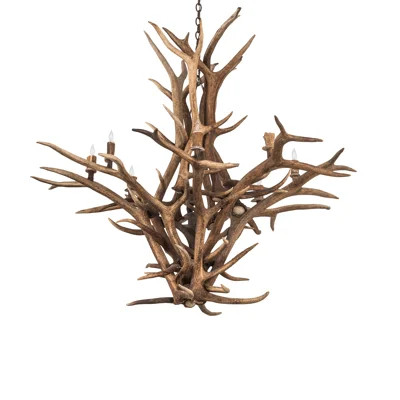 Antlers Elk 8-Light Novelty Chandelier | Wayfair North America