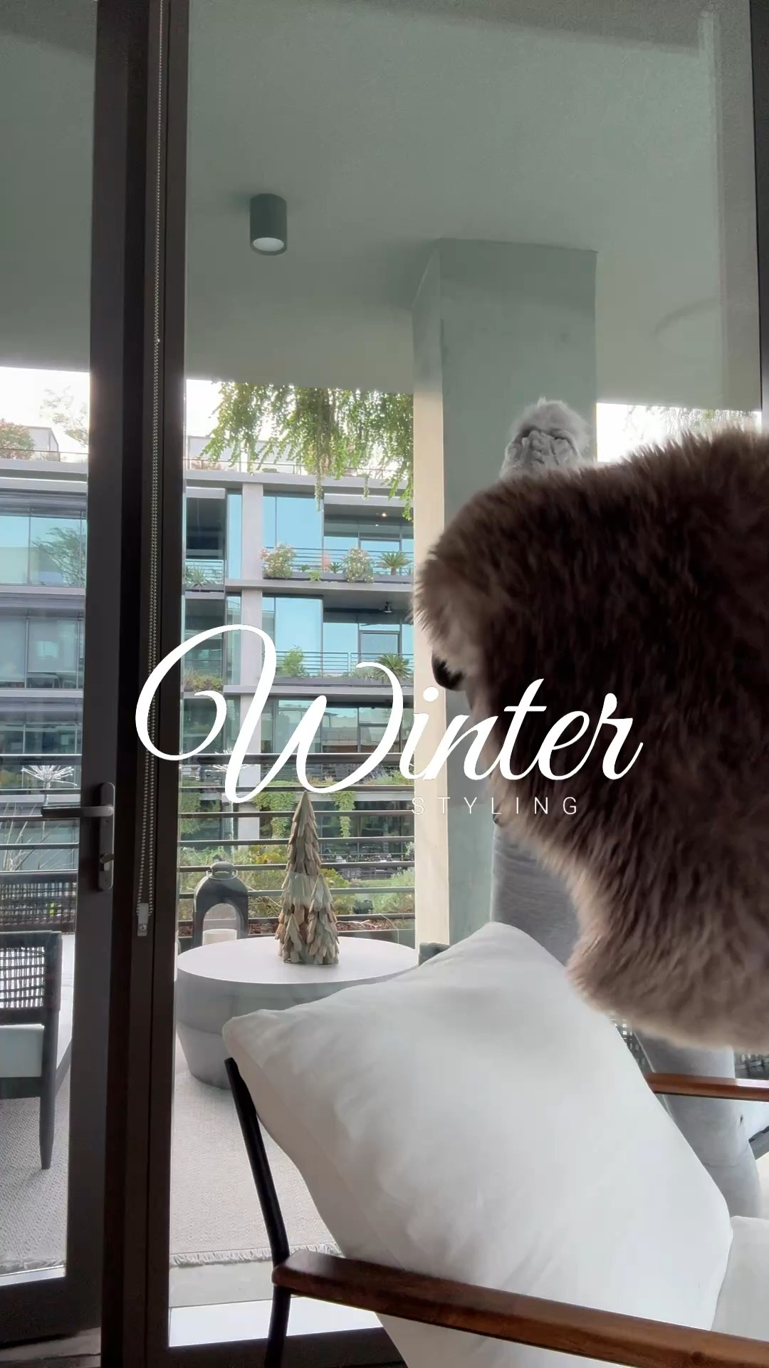 Organic modern winter decor

#LTKHome #LTKStyleTip #LTKSaleAlert