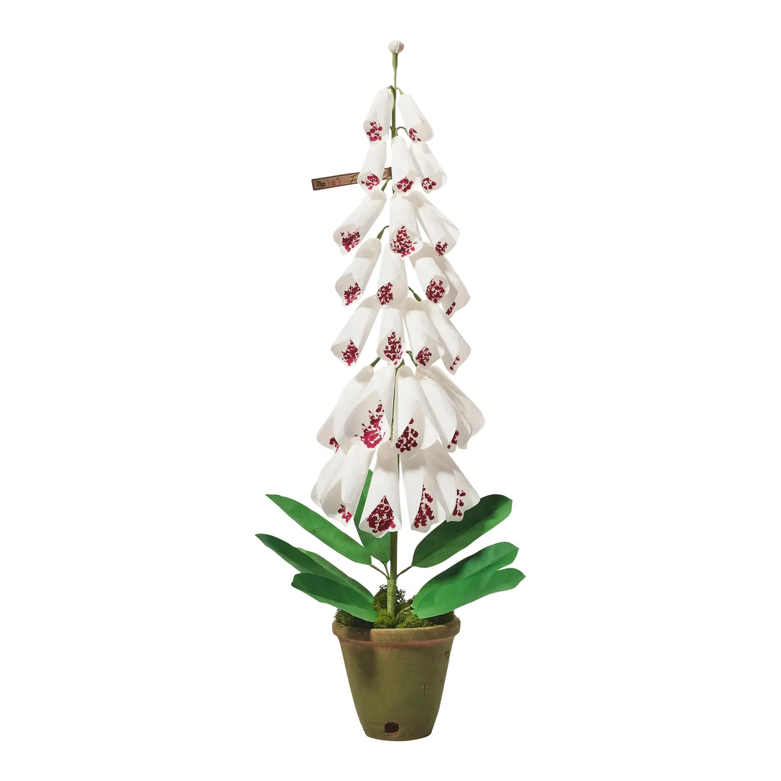The Green Vase x Chairish Foxglove Plant in White with Purple Speckle | Chairish