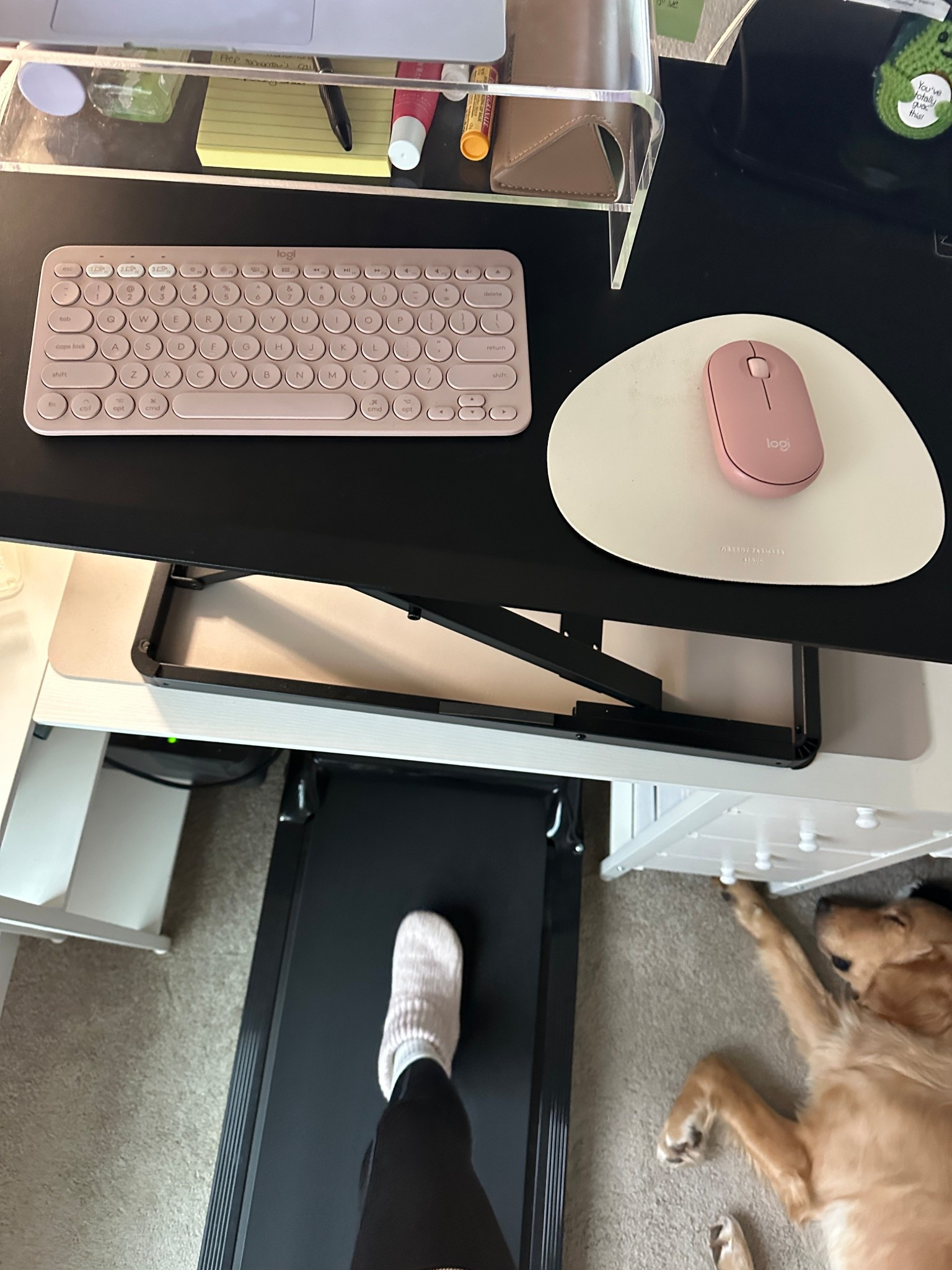 under-desk walking pad - perfect for work from home! my exact is sold out but linked similar options 

#LTKHome #LTKfitnessgoals #LTKdayinmylife