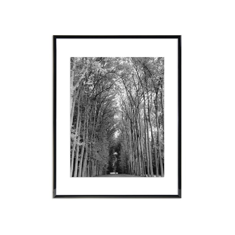 MCS 16x20 Floating Frame - Black | Walmart (US)