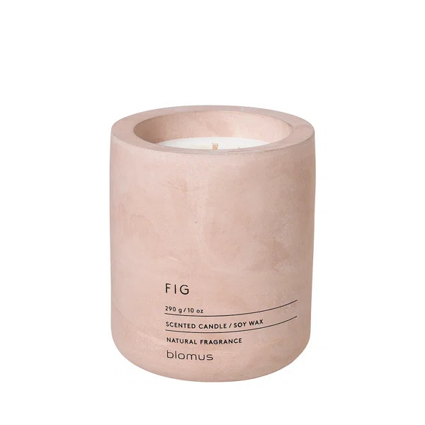 Fraga Fig Scented Jar Candle | Wayfair North America