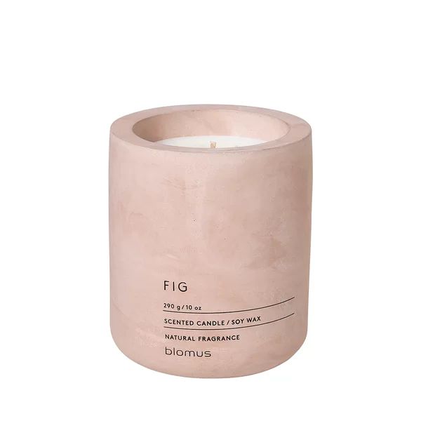 Fraga Fig Scented Jar Candle | Wayfair North America