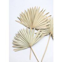 Palm Leaves Dried 5 Stems/Sun Palm Palms Fans/ Preserved Fronds/ Flowers , Boho Home Decor , Boho We | Etsy (US)