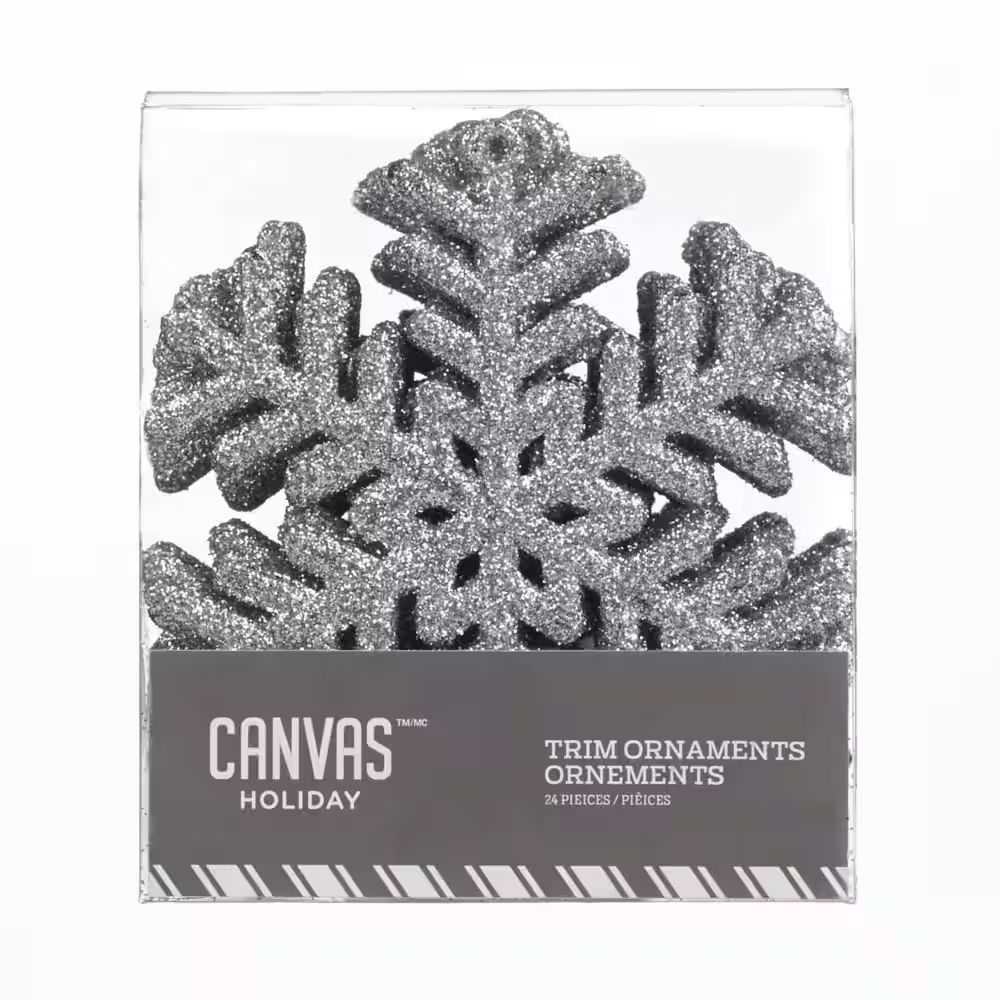 CANVAS Silver Collection Glittering Decoration Snowflake Christmas Ornament Set, 100-mm, 24-pk | Canadian Tire