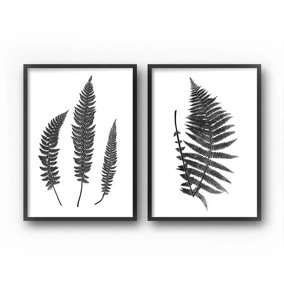 Black and White Botanical Prints, Fern Prints, Wall Art Set, Printable Art, Diptych, Botanical Print | Etsy (US)