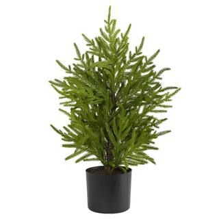2 ft. Norfolk Island Pine Natural Look Artificial Tree in Decorative Planter | The Home Depot