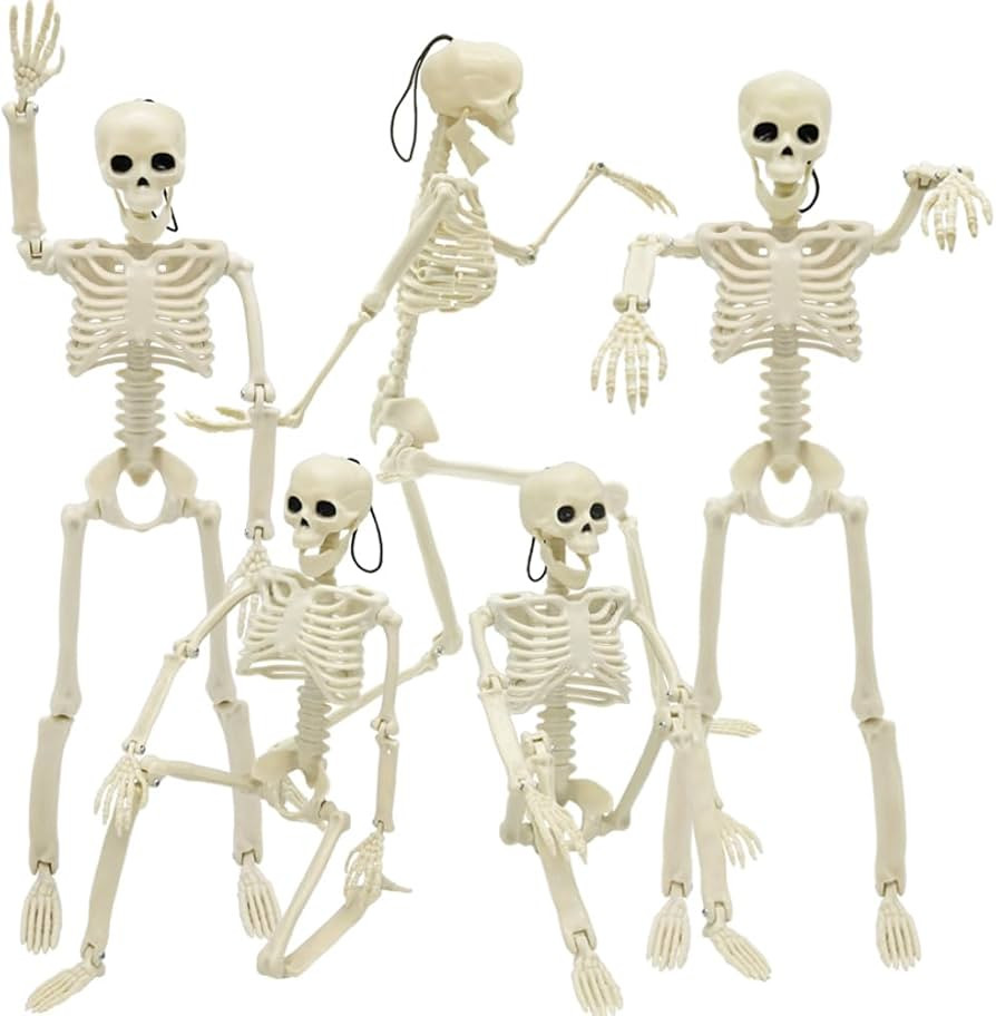 WODMAZ 5 Packs Halloween Skeleton Decorations, 16" Halloween Full Body Mini Skeleton with Movable... | Amazon (US)