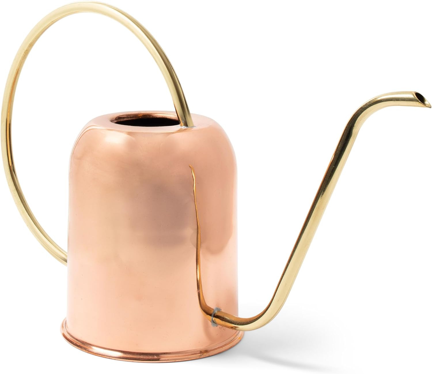Copper Watering Can Indoor Plants - 48oz Long Spout Precise Small Water Can for Plants, Bonsai, S... | Amazon (US)