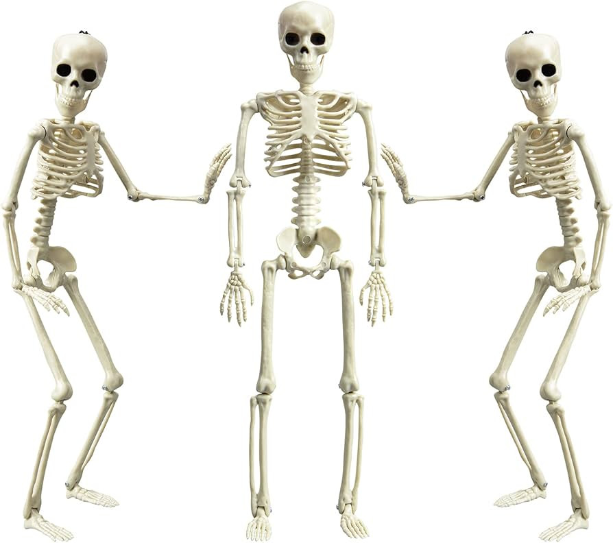 XONOR 16” Posable Halloween Skeleton- Full Body Halloween Skeleton with Movable Joints for Haun... | Amazon (US)