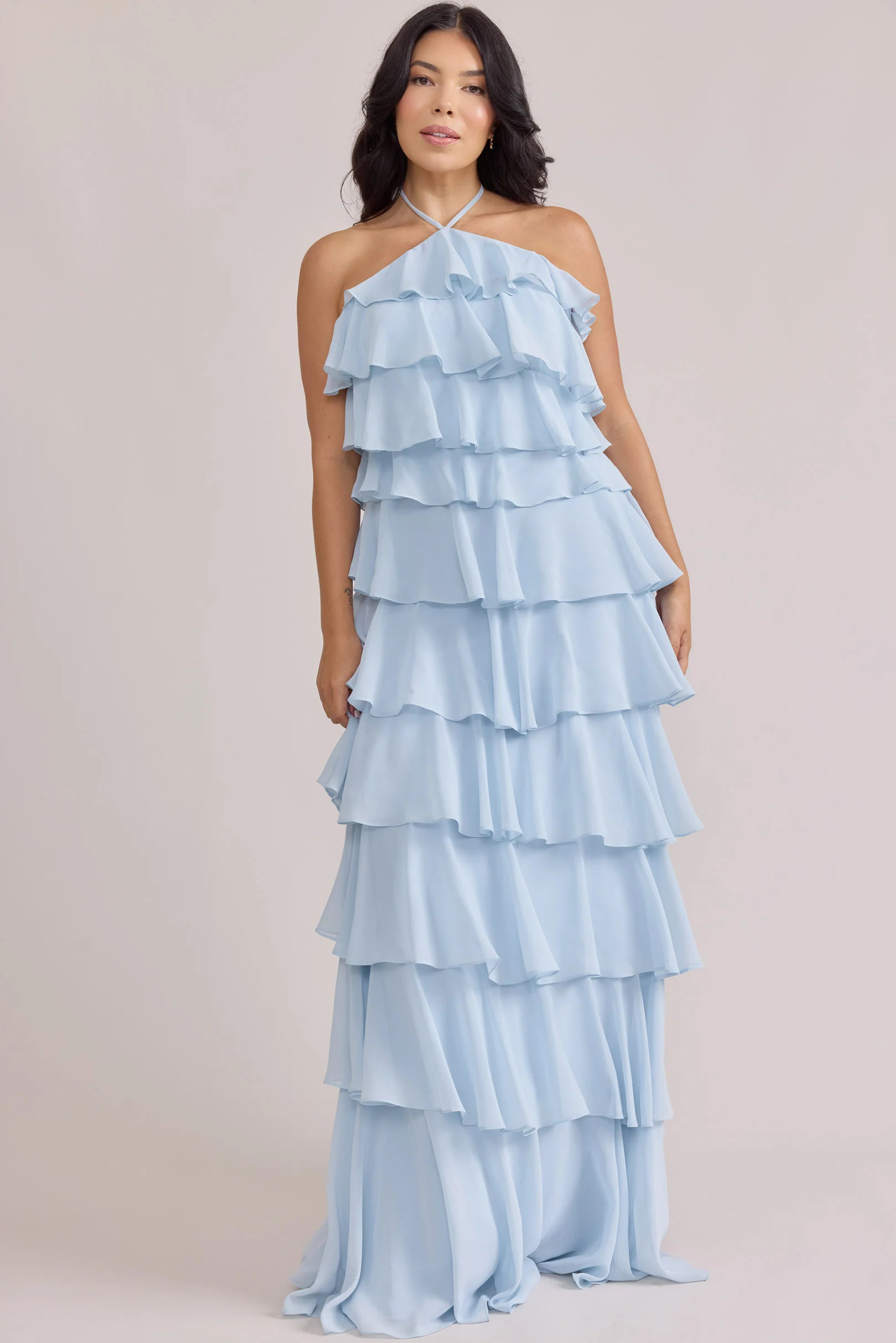 Carrie Chiffon Dress | Revelry