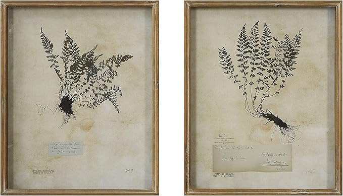 Creative Co-Op Ferns Shadowbox (Set of 2 Designs) Framed Wall Décor, Multicolored | Amazon (US)