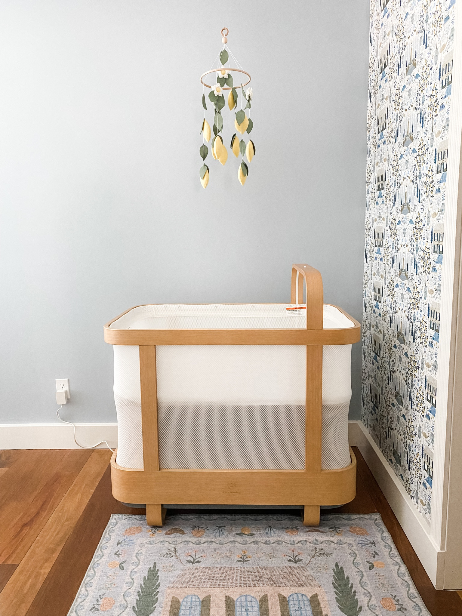 the sweetest french farmhouse nursery, ft. the most incredible investment, the Cradlewise crib! Save $100 with code: VMHRLG9UWB

this magical crib has a built in monitor, sound machine, motion + supports from newborn to 2 years of age! 

#LTKbump #LTKbaby #LTKhome