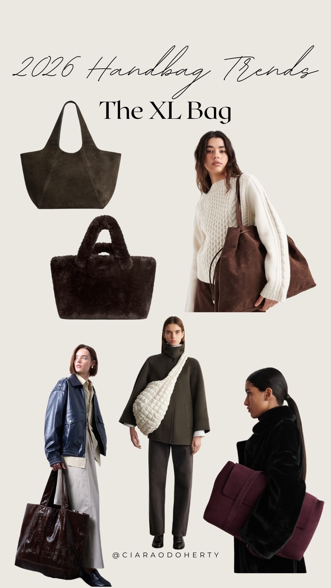 2026 Handbag Trends: XL Bags

Skims, & other stories, Cos, asos, topshop

#LTKireland #LTKeurope #LTKwinter