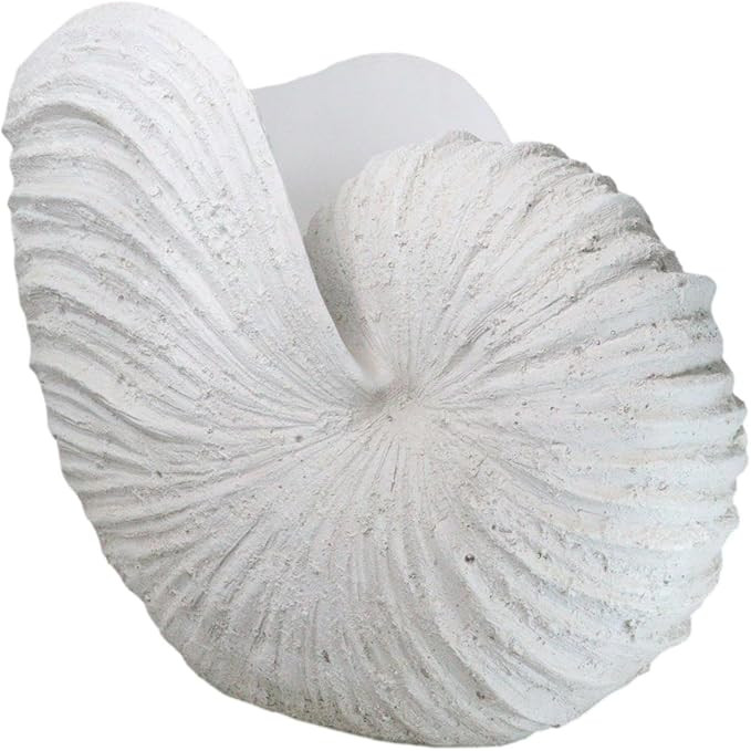 Ebros Large 18.5" Long Distressed White Nautical Marine Ocean Giant Nautilus Sea Shell Decorative... | Amazon (US)
