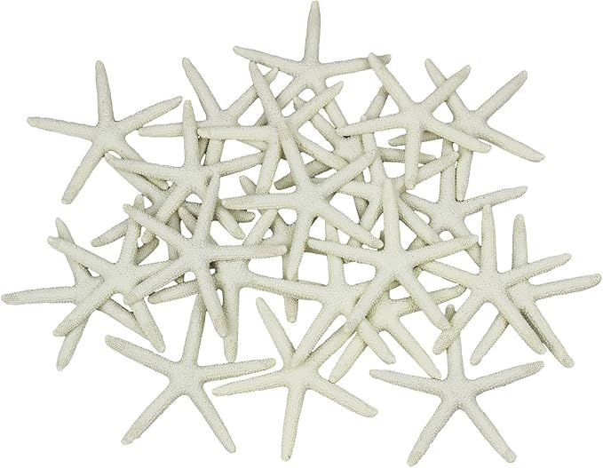 LJY 25 Pieces 3.15 Inches Beige Resin Pencil Finger Starfish for Wedding Home Decor and Craft Pro... | Amazon (US)