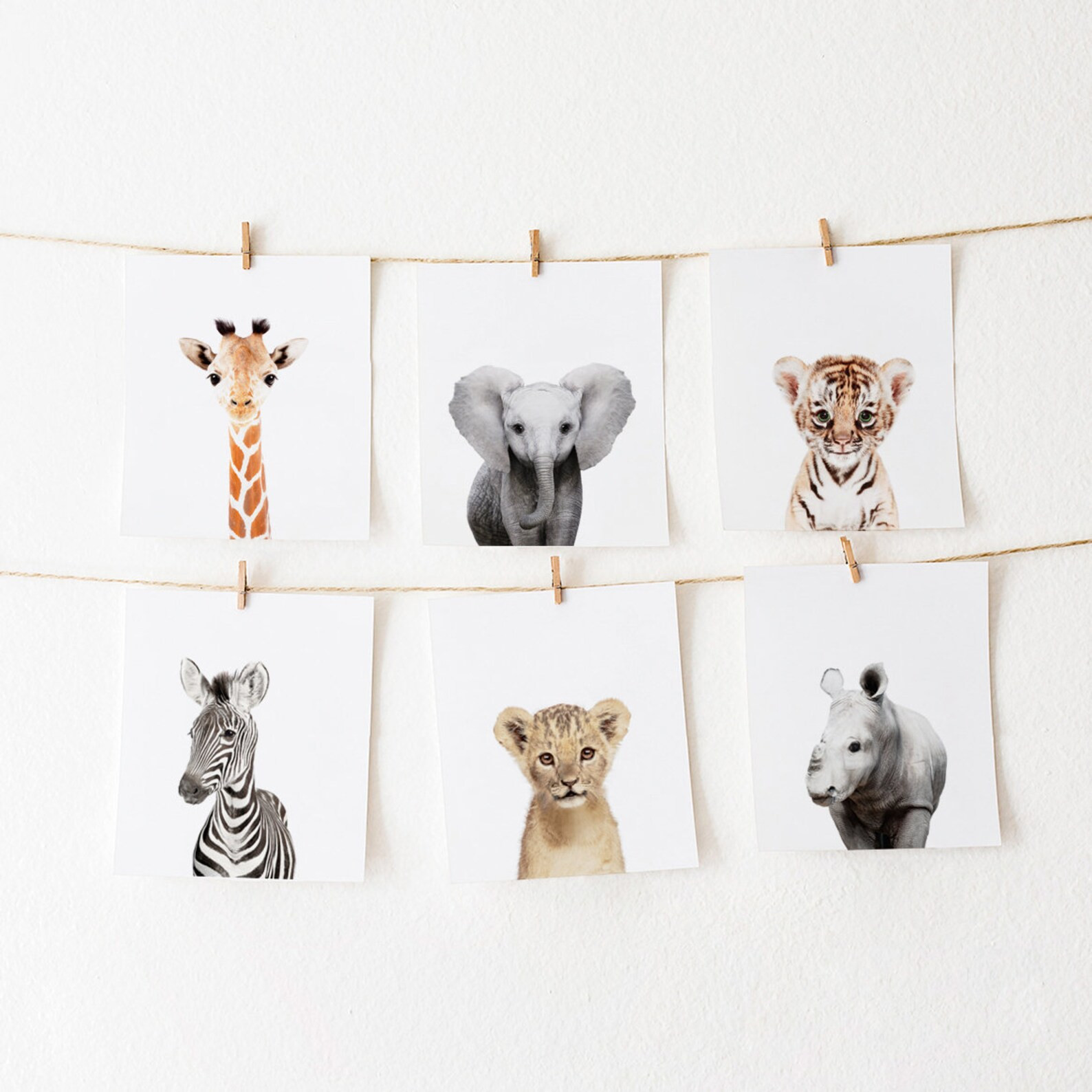 Safari Nursery Prints Set of 6 Prints Nursery Decor Nursery | Etsy | Etsy (US)