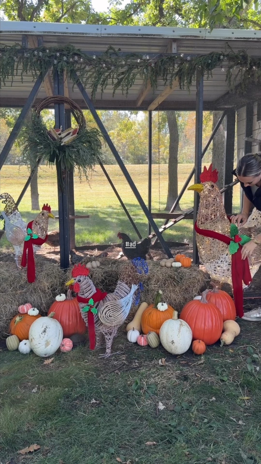 #ad #LowesPartner Let’s decorate the chicken coop for fall! I’ve partnered with Lowe’s again this time to show you the ultimate farmyard Holiday decor - LED CHICKENS! I used hay bales from our family farm, homegrown pumpkins, Allen & Roth LED Globe lights and these adorable indoor/outdoor LED chickens! 
They have both Roosters and Hens standing at 4’ and 2’ tall. They come with stakes so you can easily secure them to the ground and a removable holiday scarf! I love that I can set this up now for fall and easily swap out the pumpkins for pinecones and add the scarf to make it ready for winter. 

@loweshomeimprovement #chickencoopdecor #fallchickencoop #falldecor #chickens #chickencoop


#LTKHome #LTKPets #LTKSeasonal