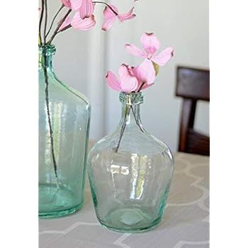 Richland Aqua Glass Laguna Vase 10", Demijohn Terrarium | Amazon (US)