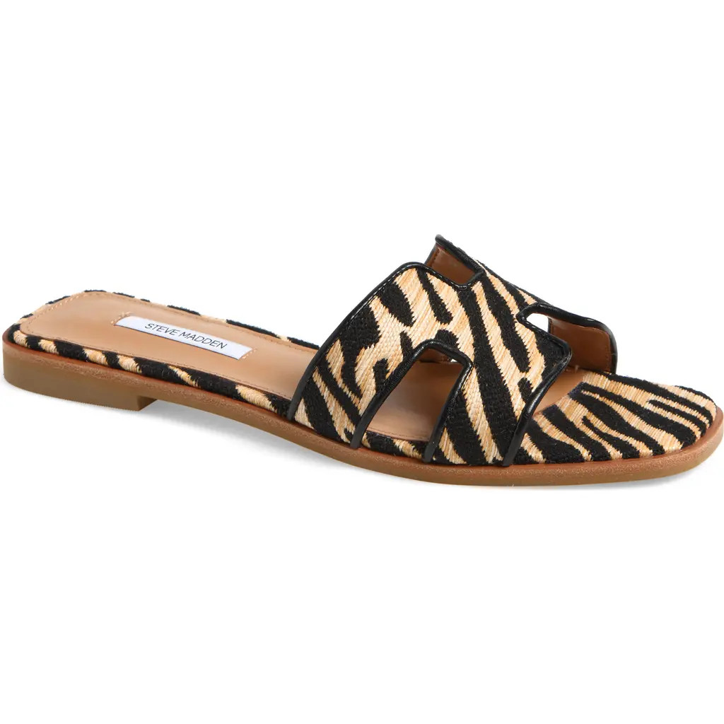 Steve Madden Hadyn Slide Sandal in Zebra at Nordstrom, Size 6 | Nordstrom
