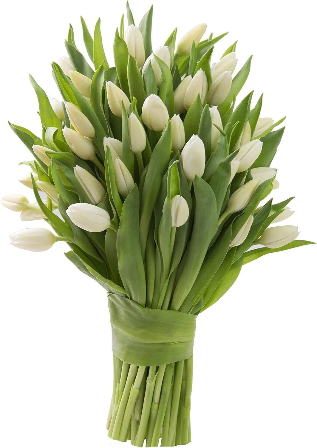 KaBloom Fresh Cut Flowers, 30 White Tulips , Gift for all occasions | Walmart (US)