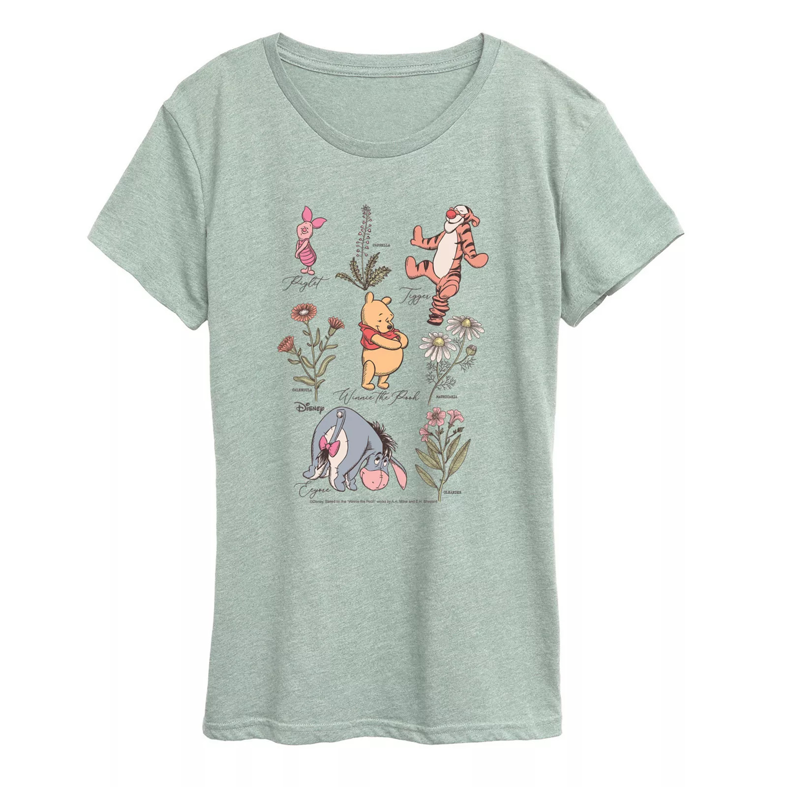 Women's Disney's Winnie The Pooh & Friends Types Of Flowers Graphic Tee, Size: Large, Grey Foam | Kohl's