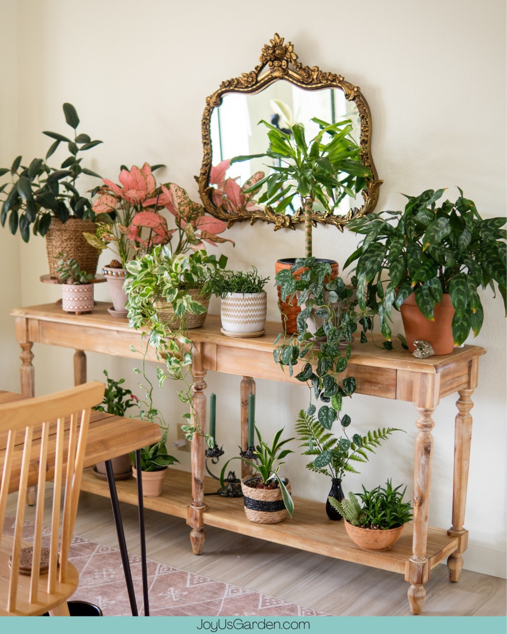 I love this long table. It works well with all the plants that I have. Addition to the plants on this table I also included a humidifier and a digital thermostat. These are indoor gardening essentials. #houseplants #plants #indoorplants #plantlover #houseplantclub #plant #plantlife #indoorjungle #plantmom #plantaddict #plantlove

#LTKhome