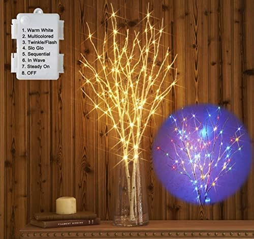 Hairui Lighted Birch Branches Battery Operated with 8 Functions 100 Multi Color and Warm White Li... | Amazon (US)