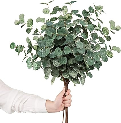Amazon.com: TOPHOUSE 6pcs Artificial Eucalyptus Leaves Stems Bulk 24.8” Silver Dollar Eucalyptu... | Amazon (US)