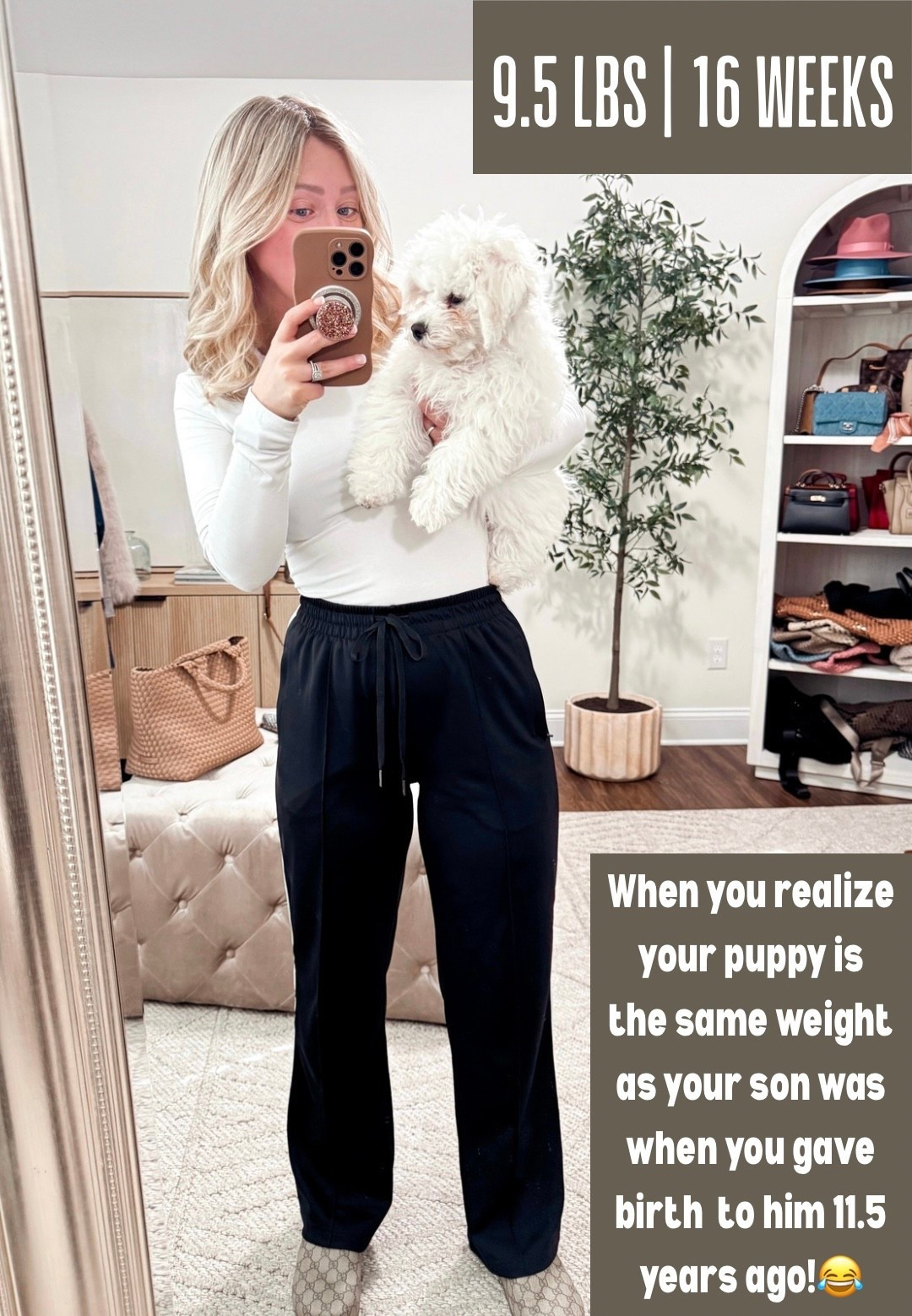 We went to the vet yesterday for another round of sh0ts for Knox, and they said he’s up to 9.5 lbs! 🥹 We got him at 4.5lbs just 6 weeks ago and he’s getting so big! 🐶 He was the runt of his litter —full bichon with both parents being around 11lbs so I have a feeling he’s going to be much bigger than we expected!! 😂 Wearing my favorite adorable basics! Shop everything via the 🔗 in my bio!

Size medium regular pants (size 4, 5’4”), size small tee

Casual outfits, everyday style, Amazon 

#LTKPetite #LTKmomlife #LTKSaleAlert
