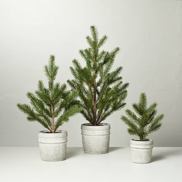 Faux Pine Tree in Textured Cement Pot - Hearth & Hand™ with Magnolia | Target