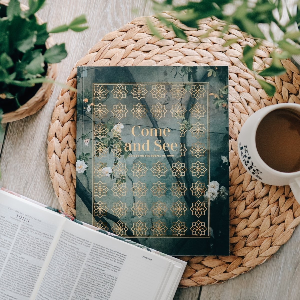 Come and See | John Study | The Daily Grace Co.