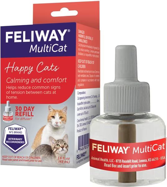 Feliway MultiCat Calming Diffuser Refill for Cats, 30 day | Chewy.com