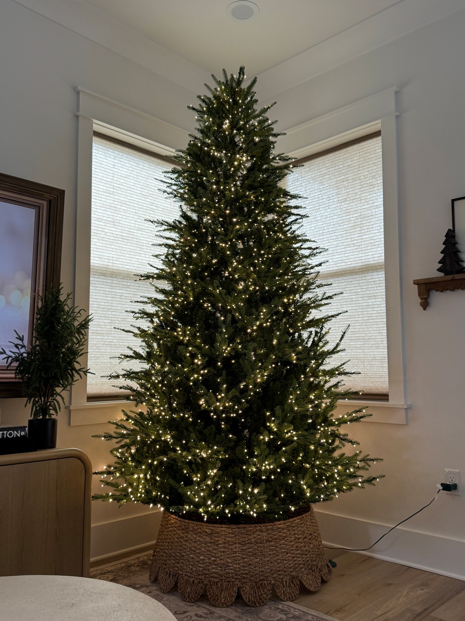 The viral 9ft Grand Duchess Christmas Tree from Home Depot 🎄
She’s everything they say she is 😍


#viralchristmastree #christmas2025 #christmastree #viraltree

#LTKSeasonal #LTKHoliday #LTKGiftGuide