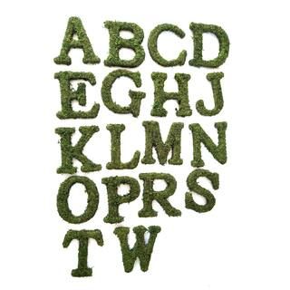 Assorted 8" Green Moss Letter by Ashland®, 1pc. | Michaels | Michaels Stores