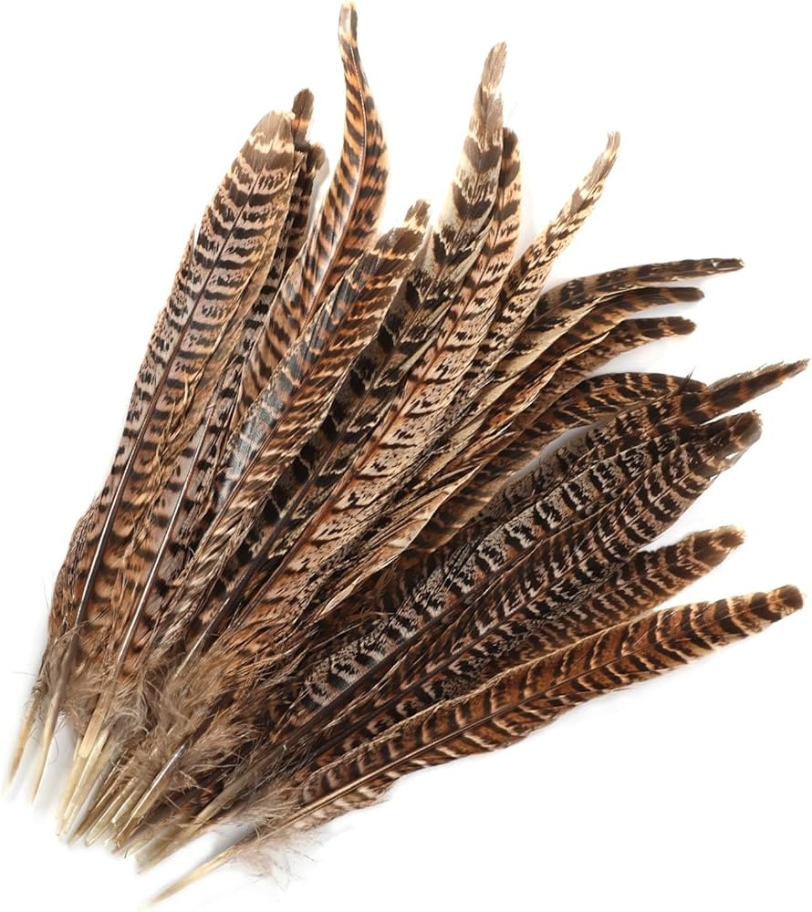 20pcs Natural Pheasant Tails Feather for Hair Hats Crafts Home Wedding Party Decoration (30-35cm) | Amazon (US)