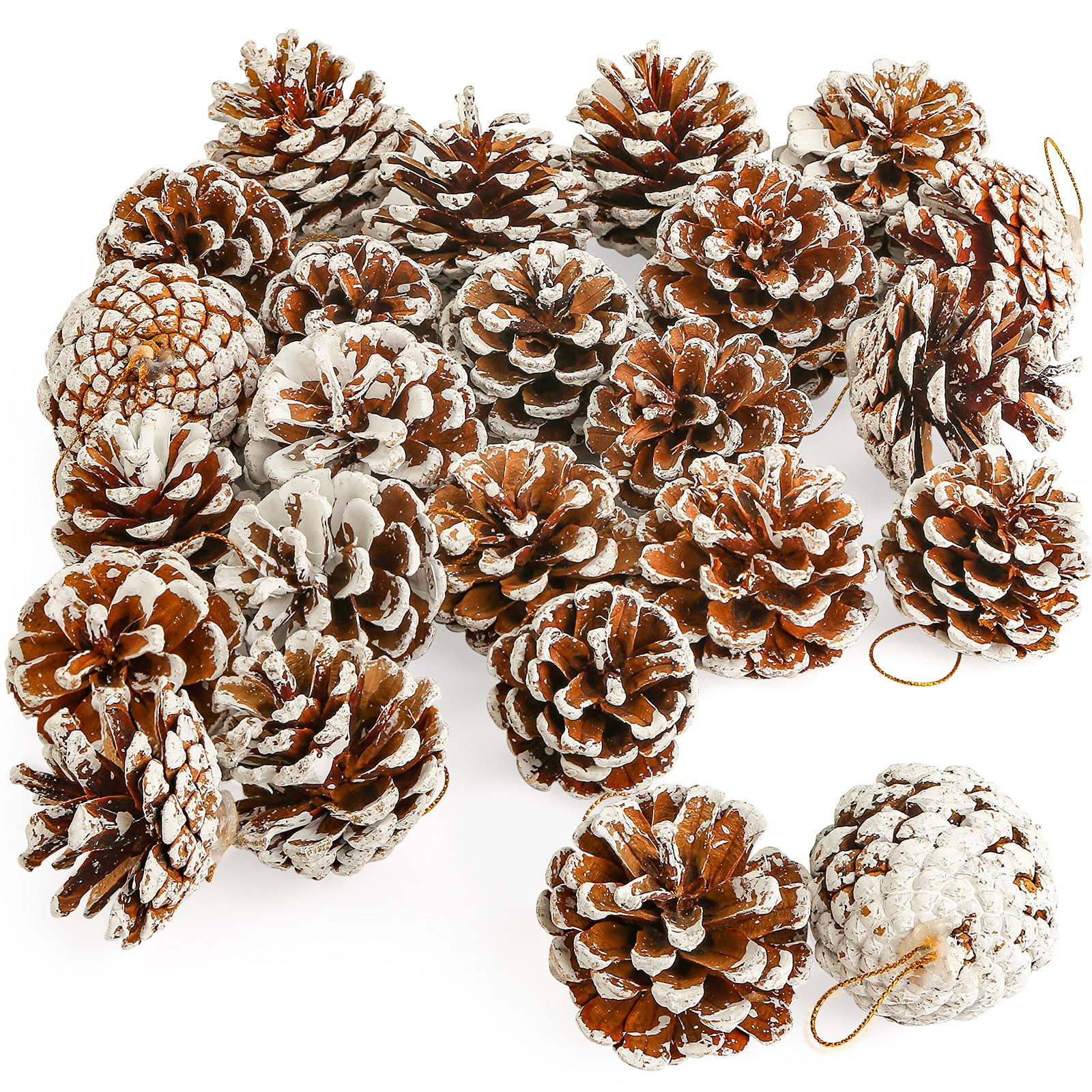 JOHOUSE 24PCS Snow-Dusted Natural Pine Cones – Pinecone for Crafts, Thanksgiving & Christmas Tr... | Amazon (US)