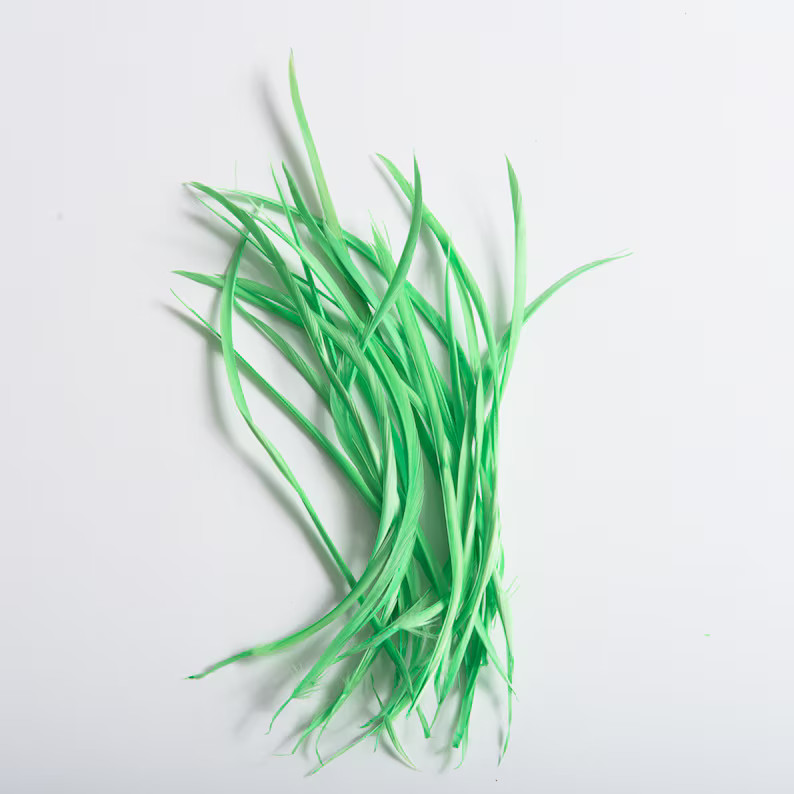 6-8 Inch Loose Dyed Goose Biots Feather Trims 24PC 801044 - Etsy | Etsy (US)