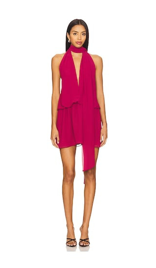 Michelle Mini Dress in Berry Red | Revolve Clothing (Global)