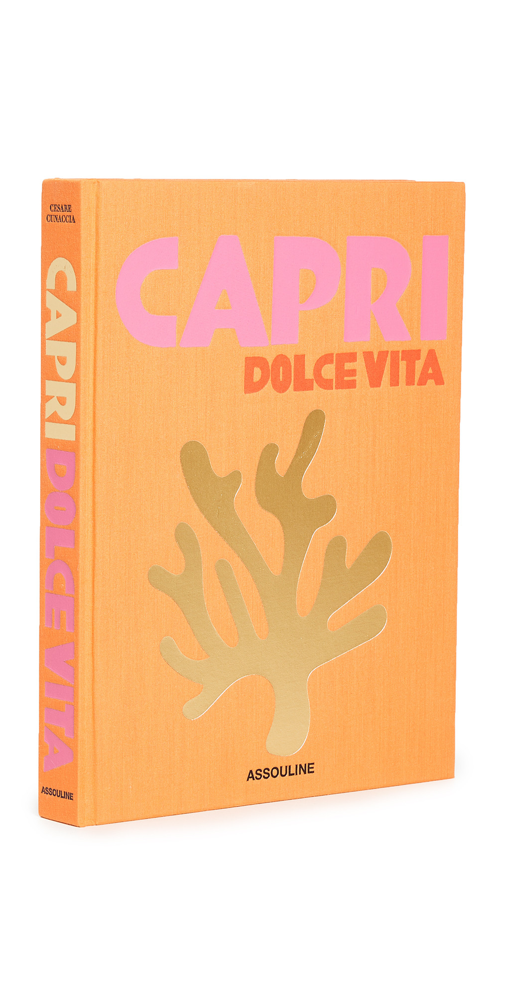 Books with Style Capri Dolce Vita | Shopbop