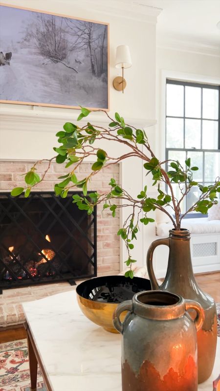 The BEST Pottery Barn knock-off faux branches from Amazon that are so perfect for winter and spring! This bundle was $19  

#amazonfind #amazonhome #springdecor #winterdecor #stems #branches #fauxplants #coffeetabledecor #vignette 

#LTKhome #LTKstyletip #LTKSeasonal