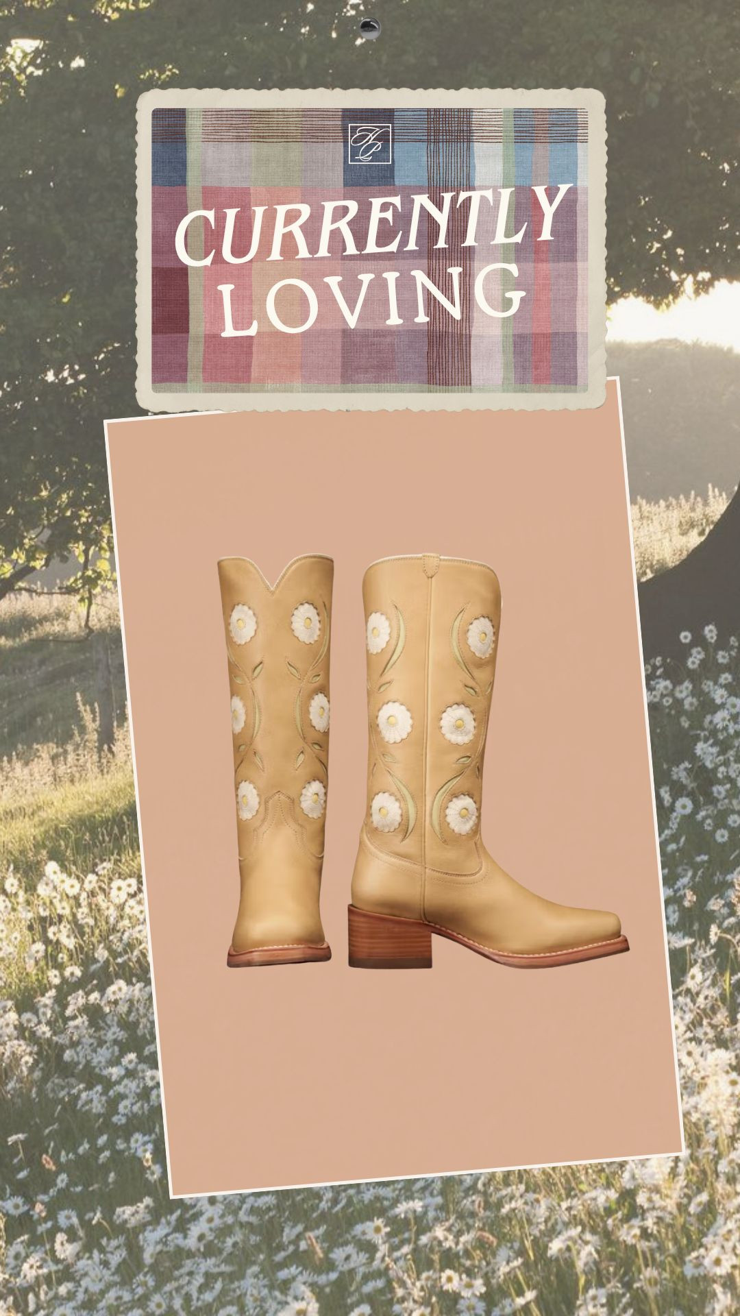 new boots I'm loving from Tecovas 

 #LTKgrwm #LTKootd #LTKSeasonal