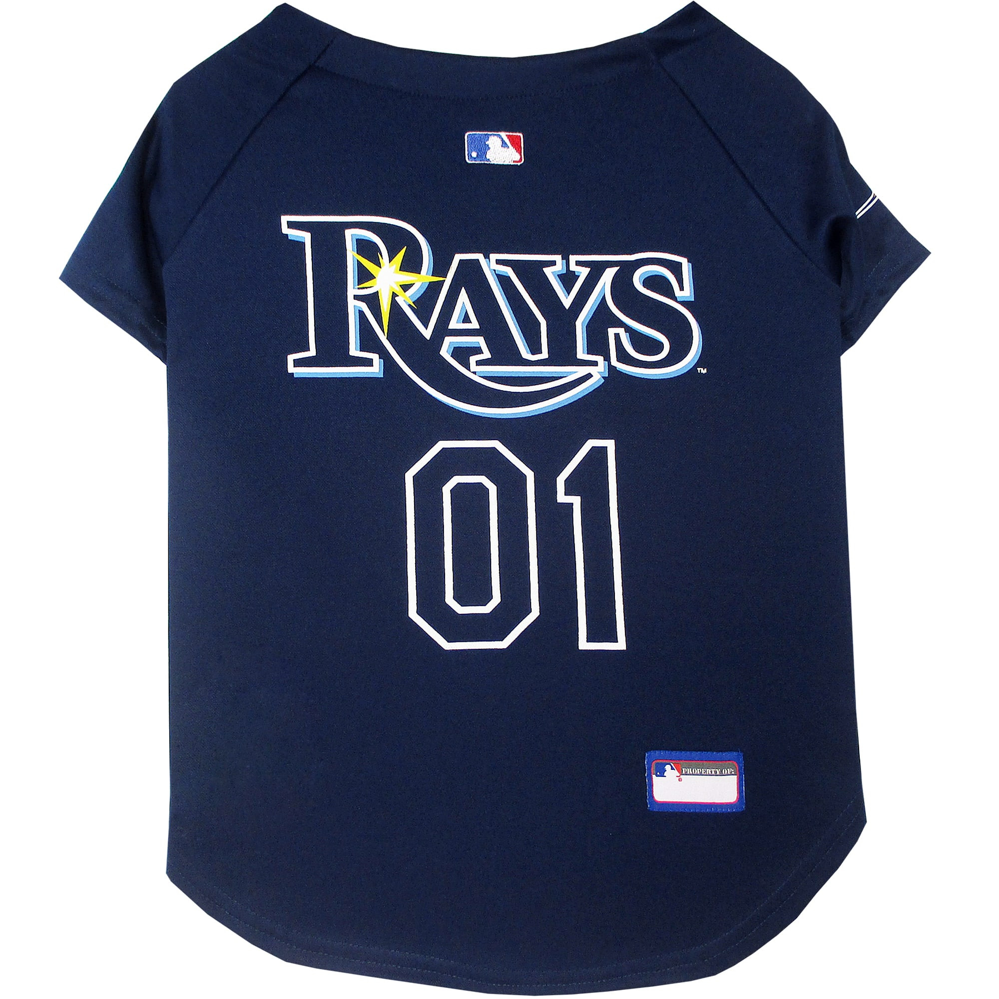 Pets First Tampa Bay Rays MLB Mesh Jersey, Large | Petco