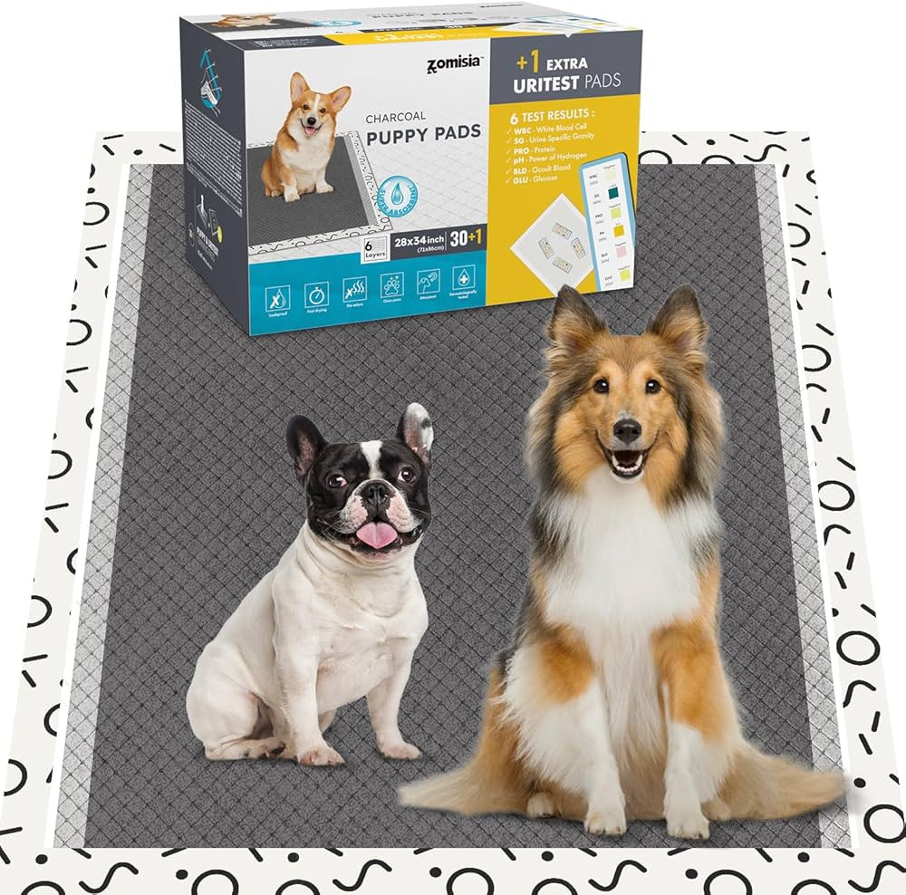 Charcoal Puppy Pee Pads for Dogs Extra Large, 28"x34" 30 Counts + 1 Extra Health Monitoring Pad -... | Amazon (US)