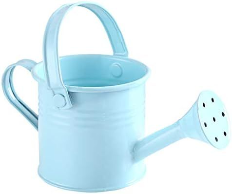 TRRAPLE Metal Watering Can, Children Garden Watering Bucket Iron Watering Tin Can Sprinkling Kettle  | Amazon (US)
