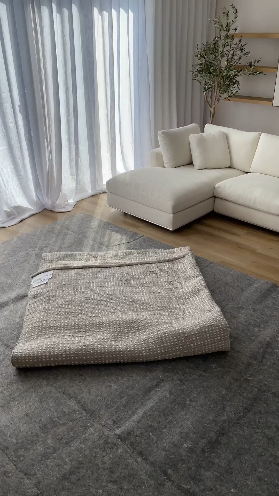 Neutral braided wool rug for living room

#LTKhome