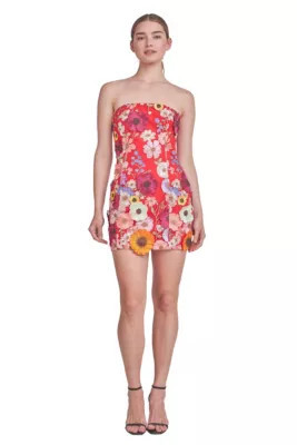 Endless Rose Women's Floral Embroidered Mini Dress | Belk