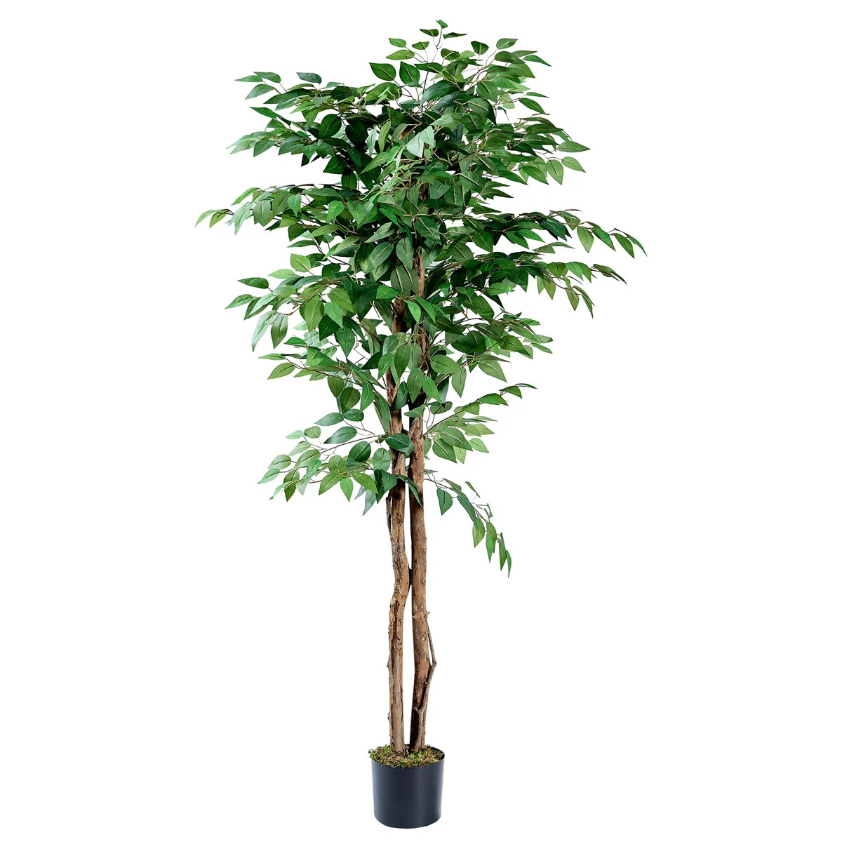 Vikki Artificial Ficus Tree With Natural Wood Trunk, Faux Plant For Office Home, Indoor Outdoor D... | Wayfair North America