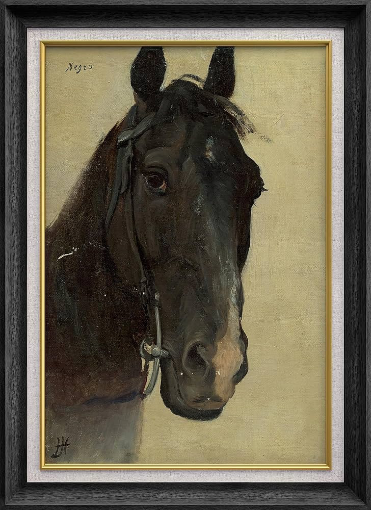 SIGNWIN Premium Frame Art Black Horse Portrait Illustrations Fine Art Traditional Iconic Relax/Ca... | Amazon (US)