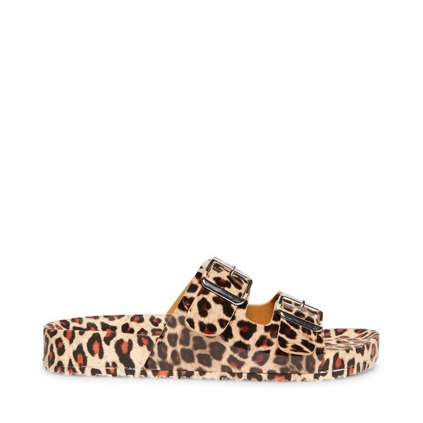 TEDDY-T LEOPARD 

  @media (min-width: 20em){
    .adaptive-badge {
      display: inline-block;
... | Steve Madden (US)